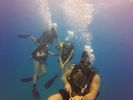 Hawaii Scuba divng 29