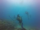 Hawaii Scuba divng 33