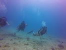 Hawaii Scuba divng 35