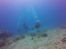 Hawaii Scuba divng 37