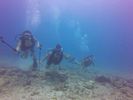 Hawaii Scuba divng 38