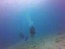 Hawaii Scuba divng 40