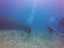 Hawaii Scuba divng 41