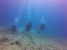 Hawaii Scuba divng 43