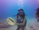 Hawaii Scuba divng 45