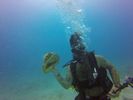 Hawaii Scuba divng 46