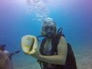 Hawaii Scuba divng 47