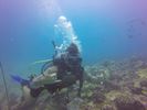 Hawaii Scuba divng 04