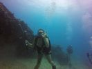 Hawaii Scuba divng 57