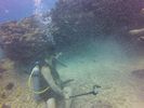 Hawaii Scuba divng 58