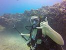 Hawaii Scuba divng 60