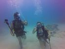 Hawaii Scuba divng 65