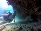 Hawaii Scuba divng 71