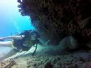 Hawaii Scuba divng 72