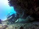 Hawaii Scuba divng 73