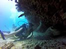 Hawaii Scuba divng 74