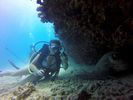 Hawaii Scuba divng 75