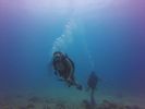 Hawaii Scuba divng 78