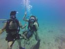 Hawaii Scuba divng 79