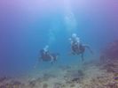 Hawaii Scuba divng 08