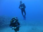 Hawaii Scuba divng 17