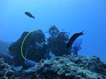 Hawaii Scuba divng 24