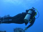 Hawaii Scuba divng 25