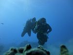 Hawaii Scuba divng 26