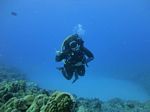 Hawaii Scuba divng 31