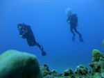 Hawaii Scuba divng 33