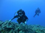 Hawaii Scuba divng 37