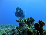 Hawaii Scuba divng 43