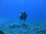 Hawaii Scuba divng 11