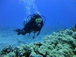 Hawaii Scuba divng 14