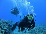 Hawaii Scuba divng 21