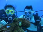 Hawaii Scuba divng 24