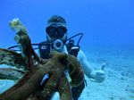 Hawaii Scuba divng 28