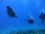 Hawaii Scuba divng 34