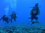 Hawaii Scuba divng 38