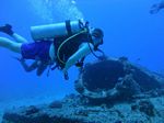 Hawaii Scuba divng 40