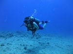 Hawaii Scuba divng 42