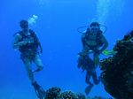 Hawaii Scuba divng 43