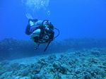 Hawaii Scuba divng 45