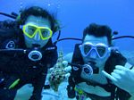 Hawaii Scuba divng 49