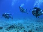 Hawaii Scuba divng 51