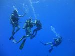 Hawaii Scuba divng 53