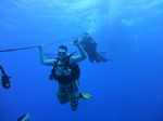 Hawaii Scuba divng 09