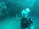 Hawaii Scuba divng 14