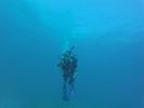 Hawaii Scuba divng 22