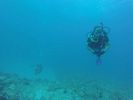 Hawaii Scuba divng 23